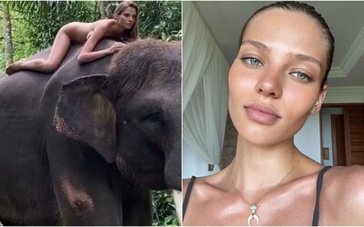 Influencerka kvôli fotke na Instagram pózovala nahá na ohrozenom ázijskom slonovi. Pobúrila fanúšikov aj eko aktivistov
