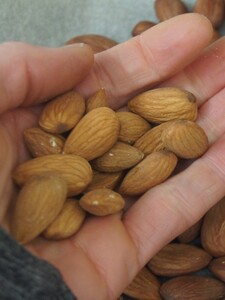 Inšpektori sťahujú z trhu ďalšiu potravinu. Na základe sťažnosti našli orechy, ktoré boli po oxidácii