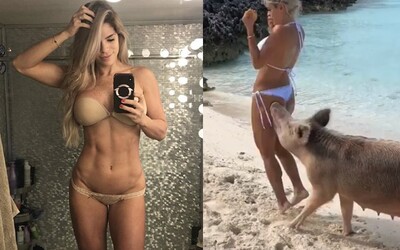 Instagramovú modelku uhryzlo do zadku prasiatko na Bahamách. Urobila chybu, keď si s ním chcela zapózovať