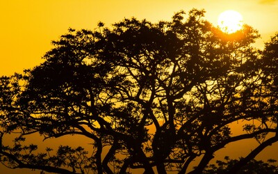 Itálii zasáhne tlaková výše Mínós. Africký vzduch přinese extrémní teploty nad 40 stupňů