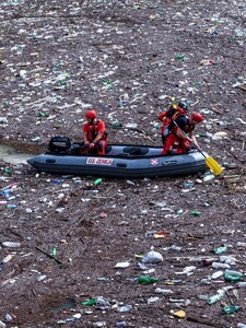 Jaderskému moři hrozí ekologická katastrofa. Místní obyvatelé si stěžují na silný zápach vody