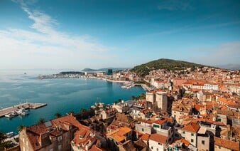 Jadran ohrozuje invázna riasa. Vedci varujú pred ekologickou hrozbou