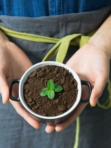 Jak si ozelenit feed? Doporučujeme ti nejlepší greenfluencers na českém instagramu