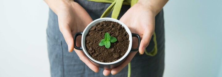 Jak si ozelenit feed? Doporučujeme ti nejlepší greenfluencers na českém instagramu