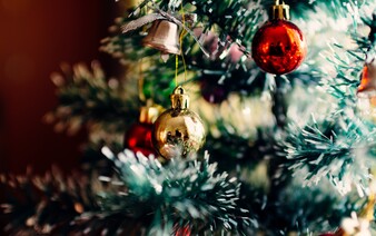 Jak velká je uhlíková stopa u vánočního stromečku? Rozdíl mezi živým a umělým je obrovský