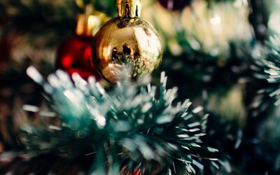 Jak velká je uhlíková stopa u vánočního stromečku? Rozdíl mezi živým a umělým je obrovský