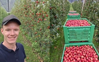 Jano bol na jablkovej brigáde v Taliansku: Robili sme 22 dní bez voľna, no za tie peniaze by som sa tam určite vrátil (Rozhovor)