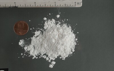 Japonec chtěl propašovat 246 balíků kokainu ve střevech. Zemřel přímo na palubě letadla