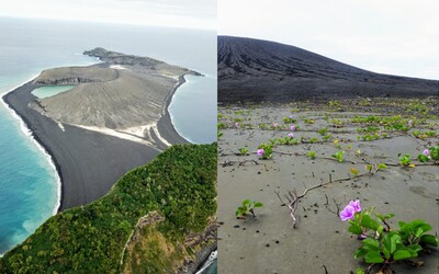 Jeden z najnovších ostrovov na Zemi už ovládol pestrý život. Výskumníci z NASA sa ho vybrali navštíviť