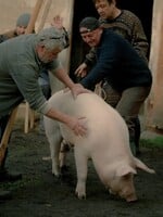 Jedna z nejlepších českých komedií posledních let míří na streamovací službu Max. Může vyhrát i Českého lva
