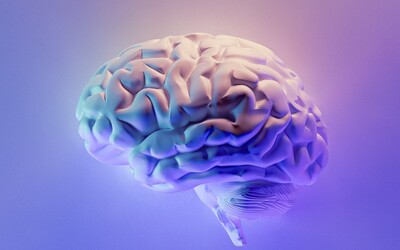 Jez denně tento minerál: Budeš mít zdravý mozek a vyhneš se demenci, tvrdí nová studie