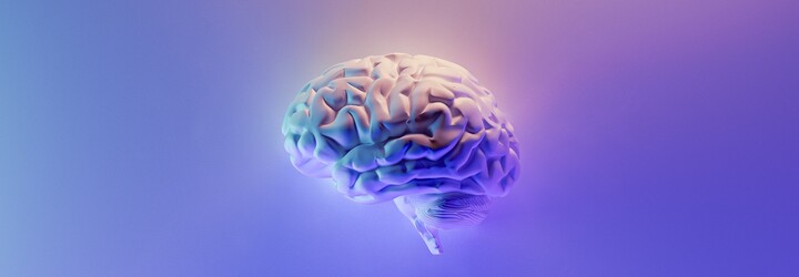 Jez denně tento minerál: Budeš mít zdravý mozek a vyhneš se demenci, tvrdí nová studie