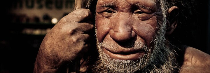 Jsi potomkem neandertálce? Vědci řekli, podle čeho se to dá zjistit