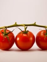 KVÍZ: Avokádo, rajče nebo meloun. Rozeznáš ovoce od zeleniny?