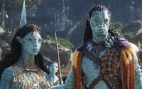 KVÍZ: Jsi na tom líp než průměrní fanoušci Avatara?