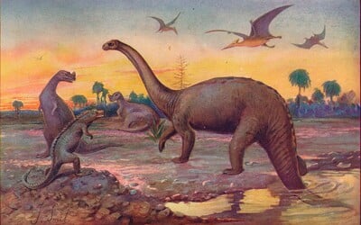 KVÍZ: Poznáš dinosaura podle obrázku? 