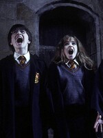 KVÍZ: Poznáš postavu z Harryho Pottera jen podle outfitu?