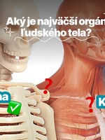 KVÍZ: Poznáš svoje vlastné telo? Over si znalosti biológie zo základnej školy