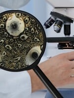 KVÍZ: Uhádneš, aký predmet sa nachádza pod mikroskopom podľa jeho priblíženej fotky?