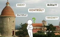 KVÍZ: Vieš, čo je šrajtofla alebo erteple? Otestuj svoje znalosti záhoráčtiny