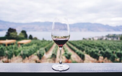 KVÍZ: Vyznáš sa v druhoch vína? Čo znamená, keď je suché, a akú farbu má frankovka?