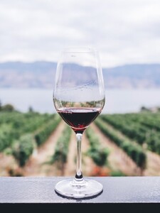 KVÍZ: Vyznáš sa v druhoch vína? Čo znamená, keď je suché, a akú farbu má frankovka?