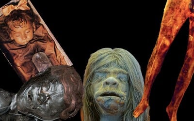 Kalhoty z lidské kůže, hlavy lidí visící na šňůrce či těla nemocných dětí: toto je pět nejděsivějších exponátů muzeí celého světa