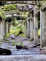 Kam na výlet: Temné krušnohorské lesy ukrývají zaniklou obec i bývalý zajatecký tábor