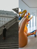 Kam na výlet v okolí Bratislavy? 360-stupňová žraločia nádrž či obrazy od Picassa a Moneta