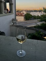 Kam v Bratislave na rande, víno s výhľadom či poctivé pivo? Týchto 7 letných podnikov musíš poznať