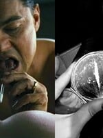 Keď si dáš kokaín: Aké účinky a hrozby prináša najpopulárnejšia droga bohatých ľudí?