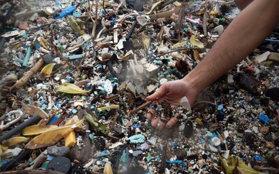 Kdysi ráj na Zemi, dnes smetiště. Havaj má nejznečištěnější pláž na světě