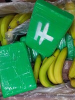 Kokain v banánech přijel do Česka pravděpodobně z Hamburku, nejspíš je velmi kvalitní, tvrdí šéf protidrogové centrály