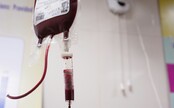 Konec diskriminace. Darovat krev budou nově moci i muži mající sex s muži 