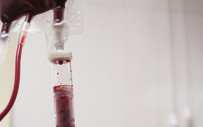 Konec diskriminace. Darovat krev budou nově moci i muži mající sex s muži 