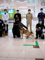 Koronavírus na dubajskom letisku budú odhaľovať psy. Dokážu ho vyňuchať s 92 % úspešnosťou