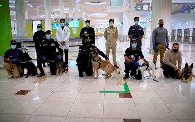 Koronavirus na dubajském letišti budou odhalovat psi. Dokáží ho vyčmuchat s 92% úspěšností