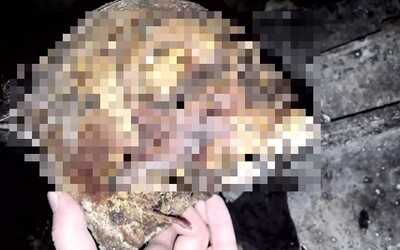 Slovenský youtuber skočil do hrobky a vyfotil si lebku. Za hanobení mrtvého mu hrozí tři roky