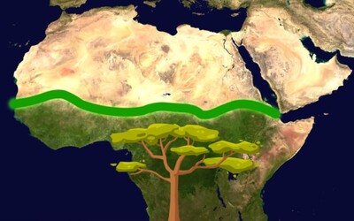Napříč Afrikou postaví obrovskou přírodní zeď. Má zastavit zvětšování pouště a zachránit přírodu i životy lidí