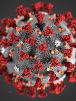 Krizový výbor WHO varuje: Očekáváme dlouhou koronavirovou pandemii.