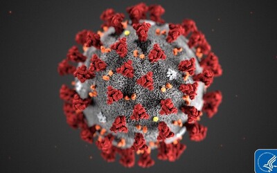 Krizový výbor WHO varuje: Očekáváme dlouhou koronavirovou pandemii.