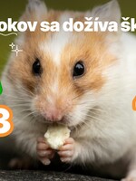 Kvíz len pre skutočných pet lovers. Koľko rokov sa môže dožiť tvoj pes, rybka či papagáj?