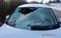 Ľadová kryha sa odtrhla z idúceho kamióna, prerazila čelné sklo SUV a vážne poranila 12-ročného chlapca na tvári