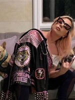 Lady Gaga ponúka 500-tisíc dolárov za návrat svojich psov, ktorých jej ukradli pri ozbrojenej lúpeži