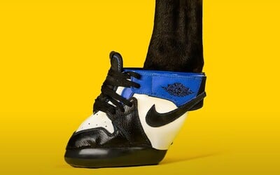 Legendárne tenisky Air Jordan už môžu nosiť aj kone. Americký umelec ich ponúka za 1 200 dolárov