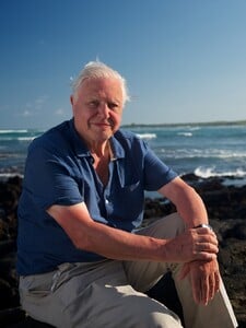 Legendární David Attenborough reaguje na AI kopii svého hlasu. „Vadí mi to, kradou mi identitu,“ říká