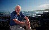 Legendární David Attenborough reaguje na AI kopii svého hlasu. „Vadí mi to, kradou mi identitu,“ říká