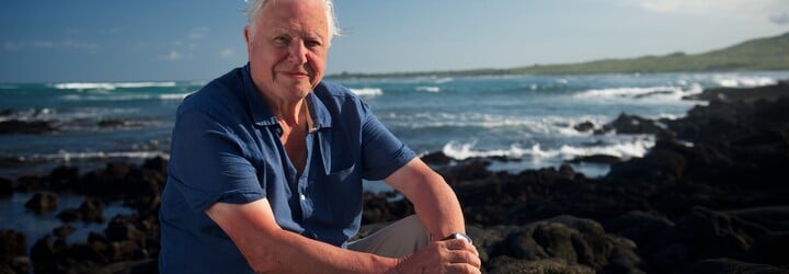 Legendární David Attenborough reaguje na AI kopii svého hlasu. „Vadí mi to, kradou mi identitu,“ říká