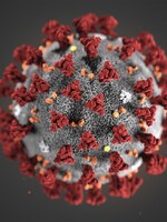 Lék, který vyvíjel Čech, zabírá na koronavirus