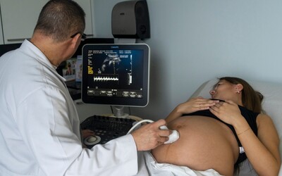 Lekári udržiavajú na prístrojoch mozgovo mŕtvu Češku. Je tehotná a dieťa má stále šancu prežiť